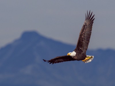 Хозяин небес