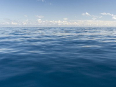 Горячая кровь