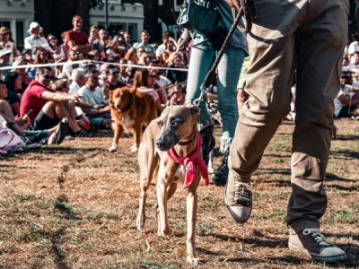 Настоящий гла-муррр