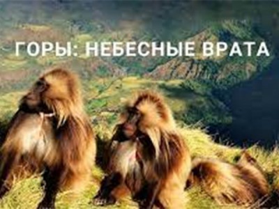 Горы: небесные врата