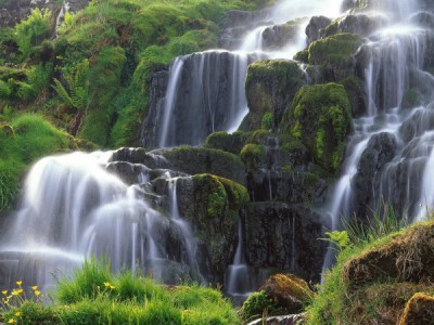 Подводные чудеса национальных парков