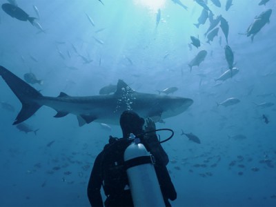 Вода и жизнь