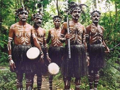 Хранители дождевого леса