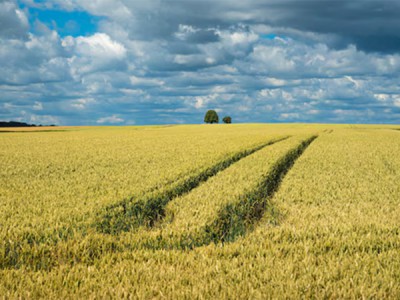 Агробудущее