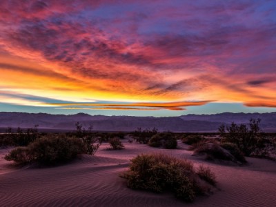 Живая Природа