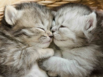 Недетские вопросы о природе