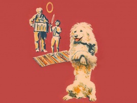 Белый пудель