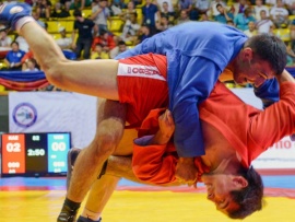 Чемпионат мира по боевому самбо и MMA