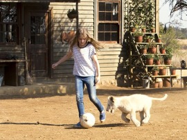 Девочка Миа и белый лев