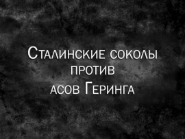 Сталинские соколы против асов Геринга