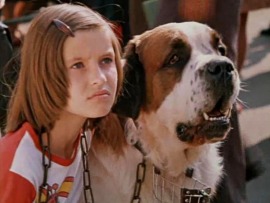 Где ты, Багира?