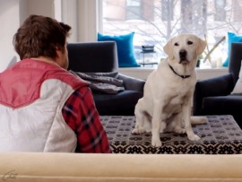 Имущество с хвостом