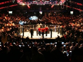 Бойцовское шоу Кулак. Сезон 2025