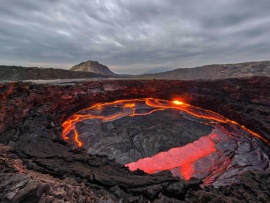 Горячие точки природы. Последняя надежда