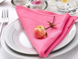 Вася накормит