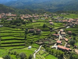 Сверху виднее