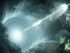 Очень странные экспонаты