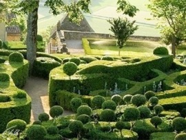 Ландшафтные эксперименты