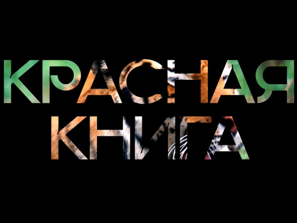 Красная книга