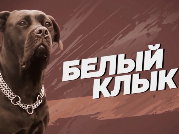 Бeлый клык (2)