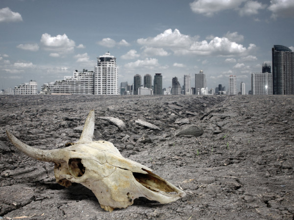 Шестое массовое вымирание