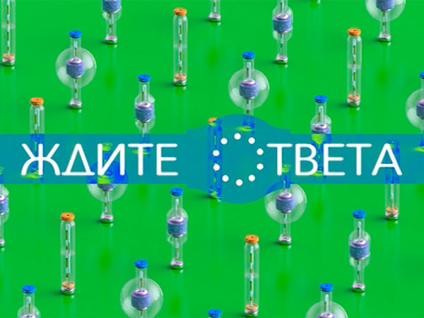 Ждите ответа (2)