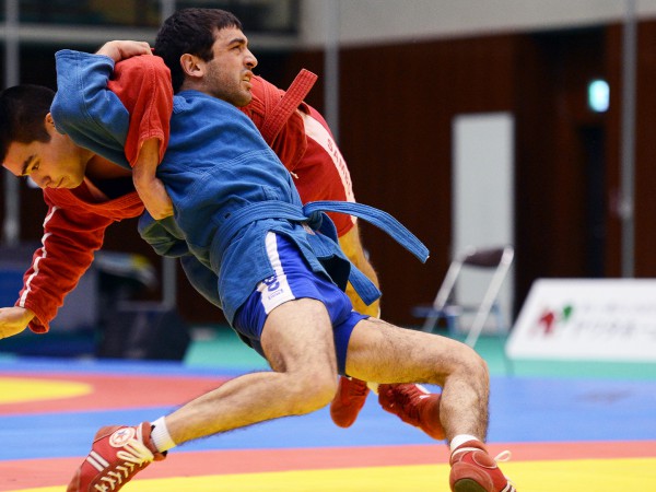 Чемпионат мира по боевому самбо и MMA