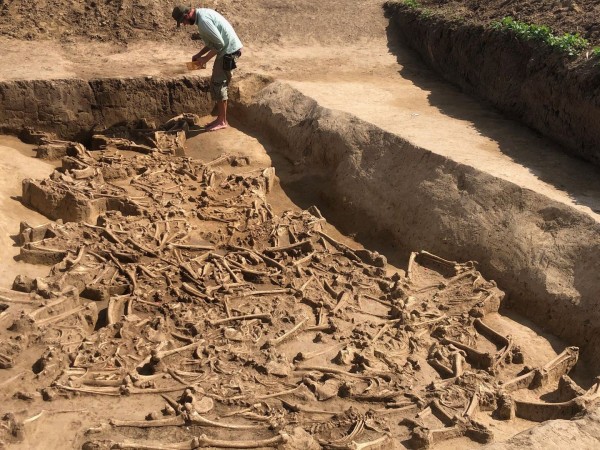 Эпоха гигантов