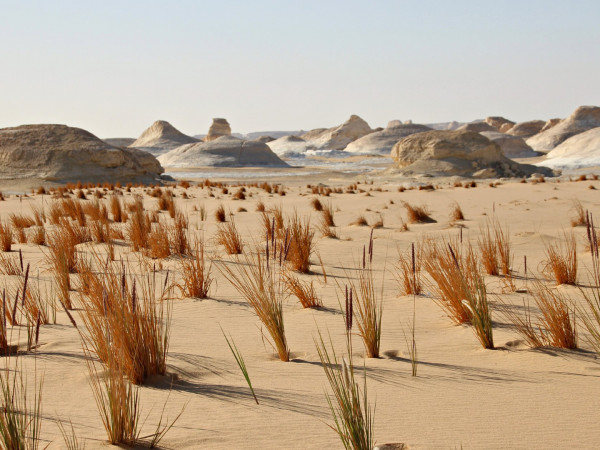 Вечный Египет