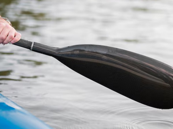 В джунглях на каноэ (2)