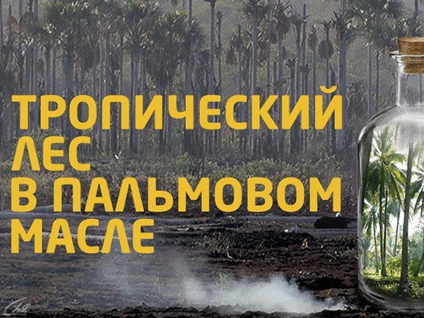 Тропический лес в пальмовом масле