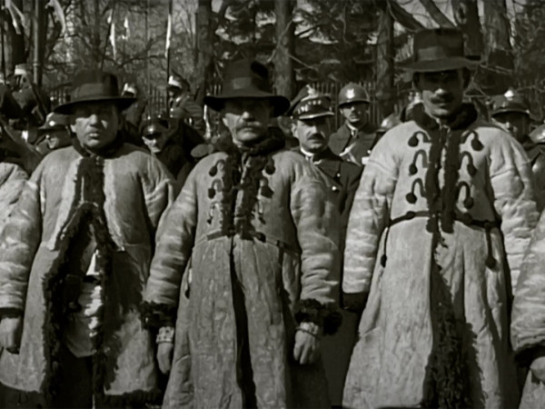 Гиена Европы