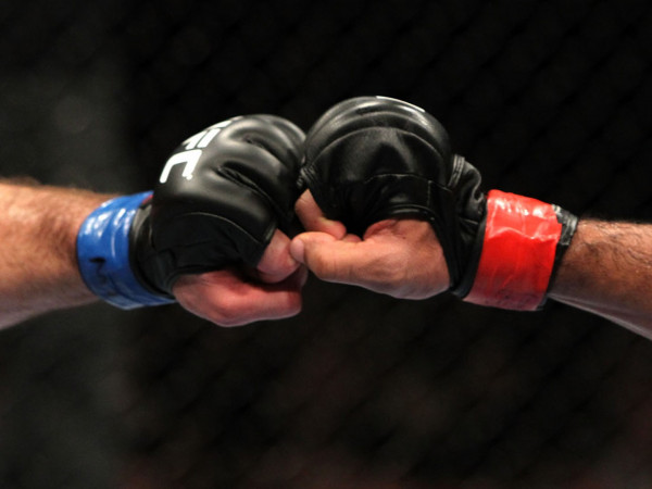 Смешанные единоборства. HEXAGONE MMA 28. Трансляция из Нидерландов