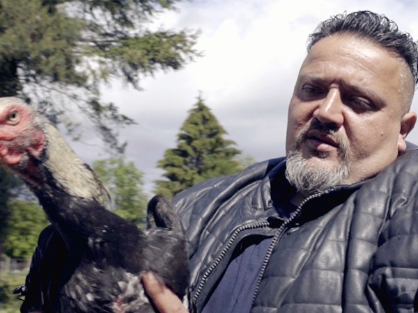 Цыгане: Куда кочует Франция