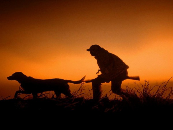 Славная охота (2)