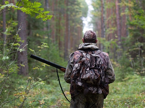 Охота в Беларуси