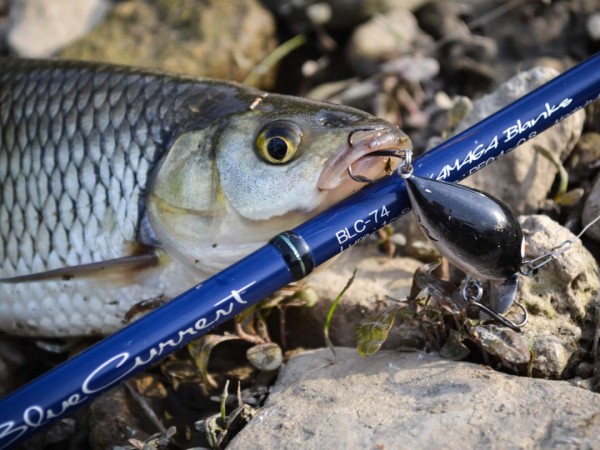 Где рождаются легенды. Ямага Бланкс