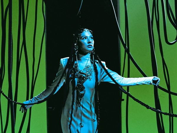 Хозяйка нейросети (2)