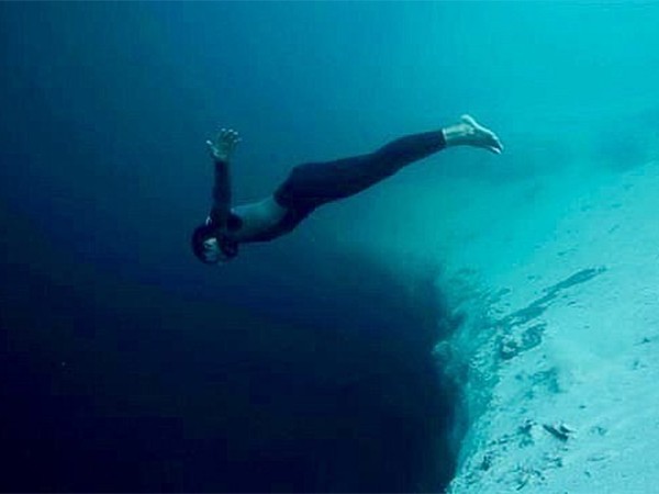 Антарктические фридайверы