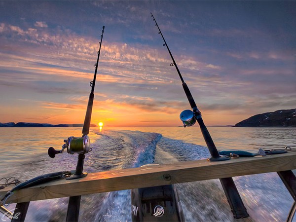 Трофеи Вест-фьорда