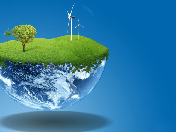 Дикие цветы