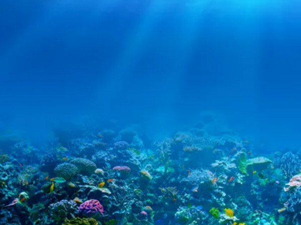 Погружение ради жизни