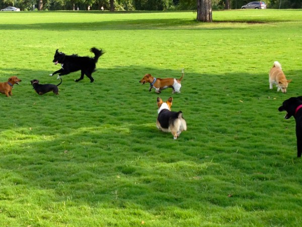 Моя большая семья