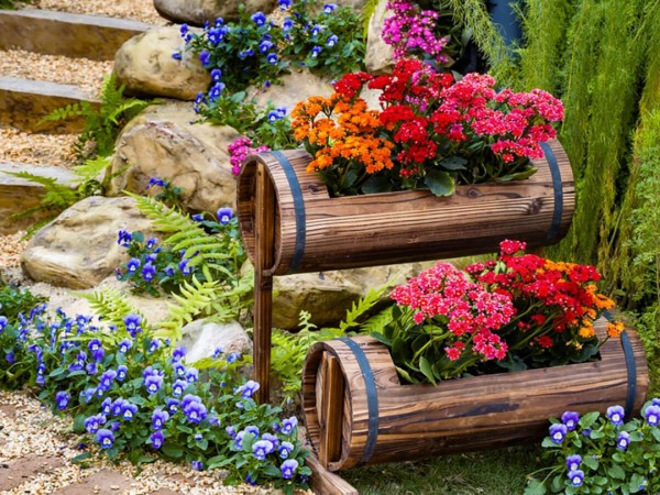 Цветники (2)