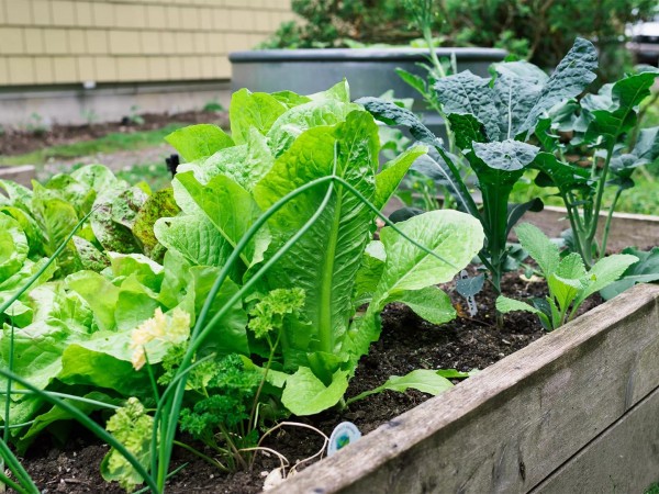 Территория уюта