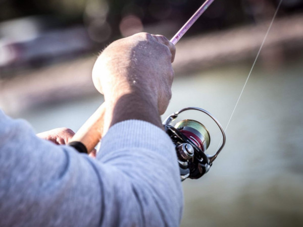 Легенды Русского Севера-2