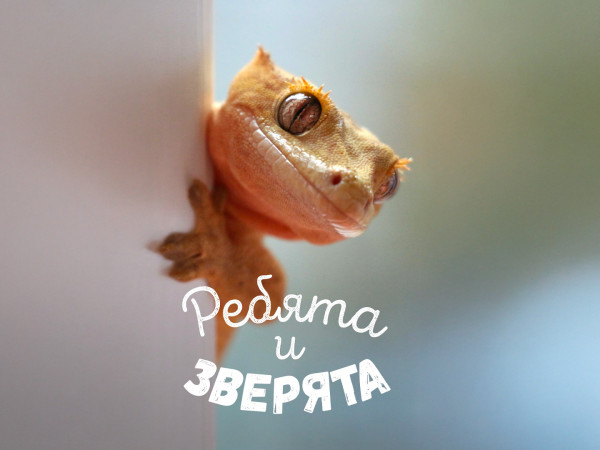 Ребята и зверята