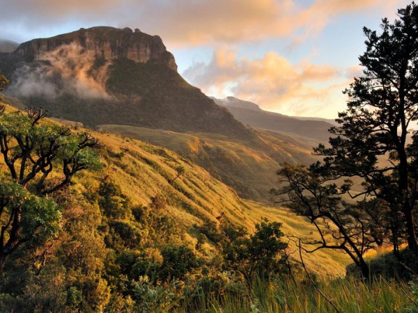 Неближний Восток