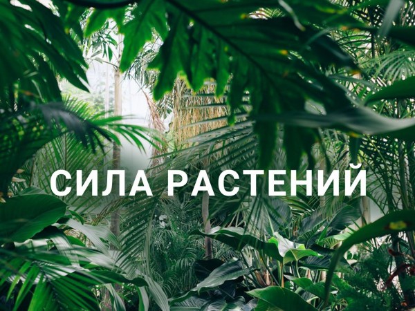Сила растений