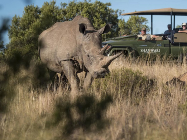 Заповедник Шамвари